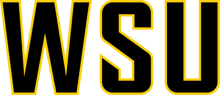 Wichita State Shockers 2016-Pres Wordmark Logo t shirts iron on transfers